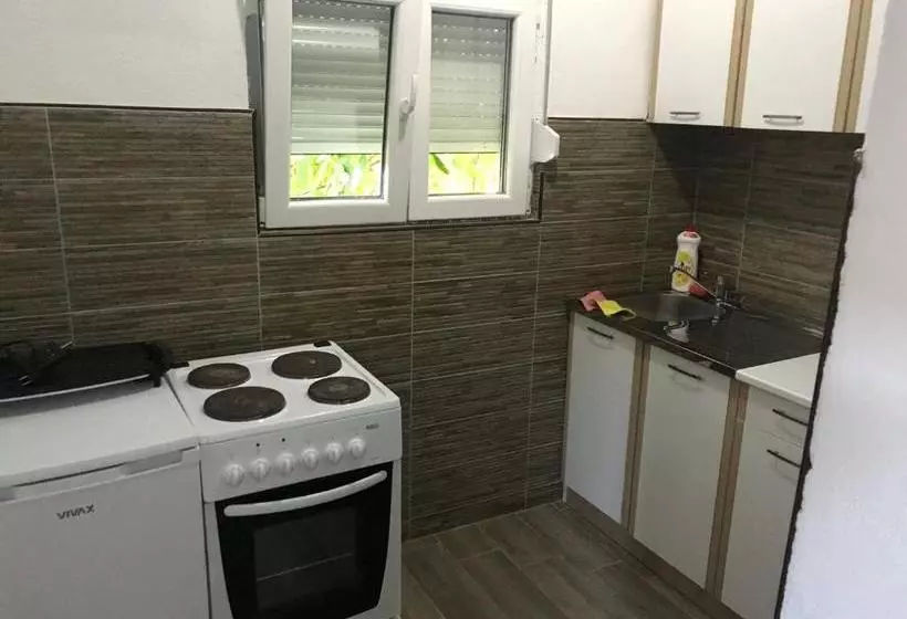 Studio Apartments Petkovic