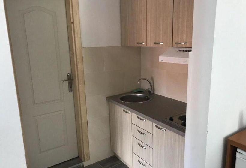 Studio Apartments Petkovic