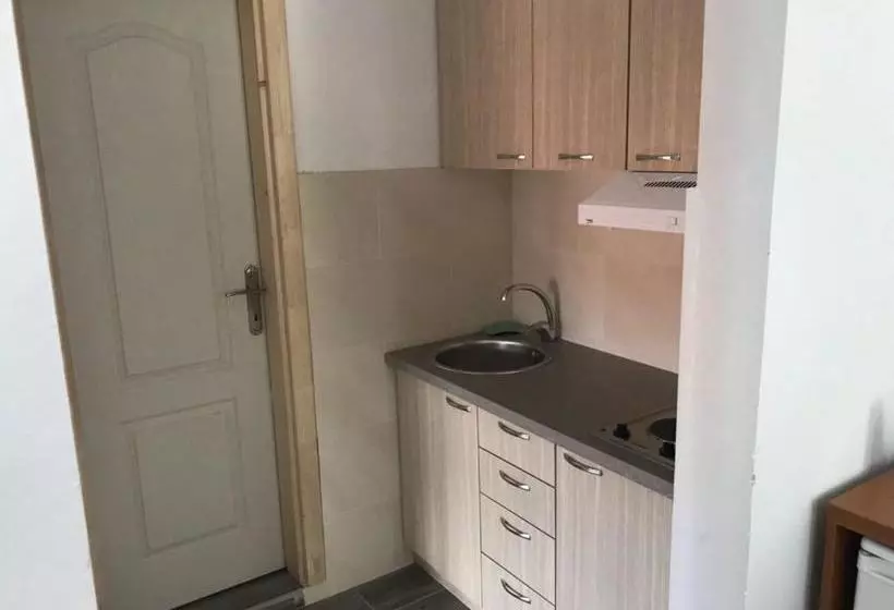 Studio Apartments Petkovic