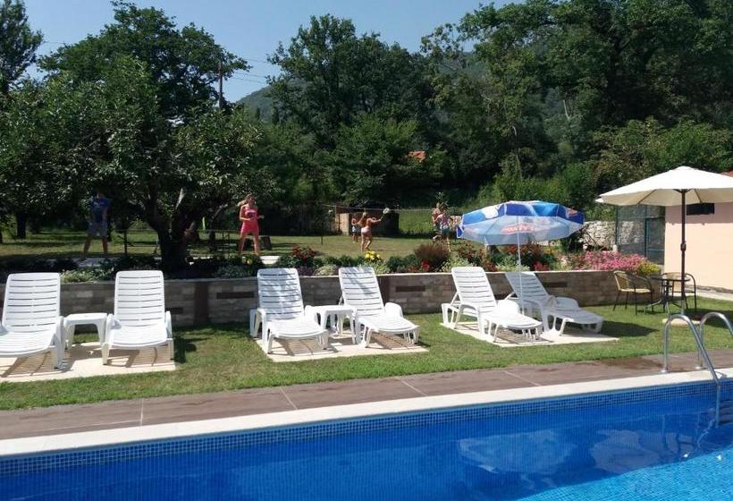 Studio Apartments Petkovic