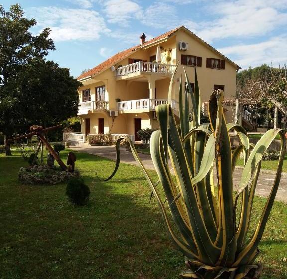 Studio Apartments Petkovic