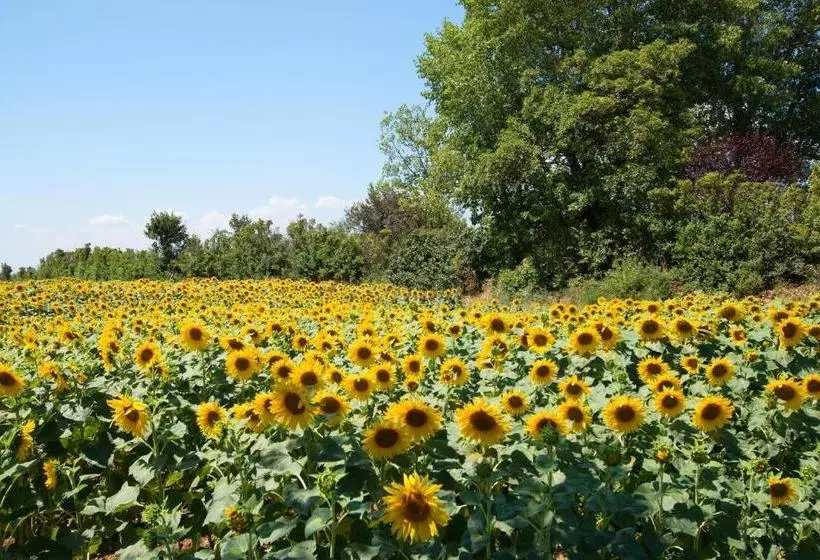 مبيت وإفطار Gasthof Pension Wein