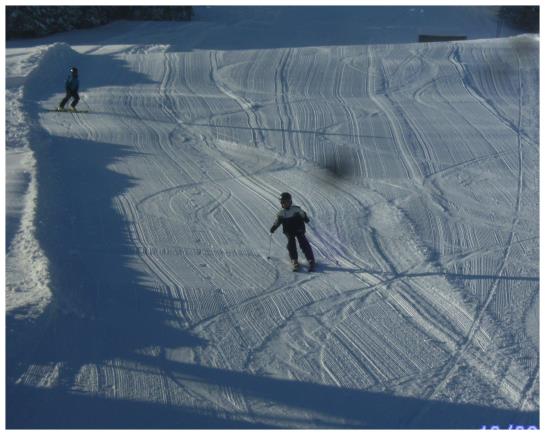 Bauernhof Bereuter Merbot