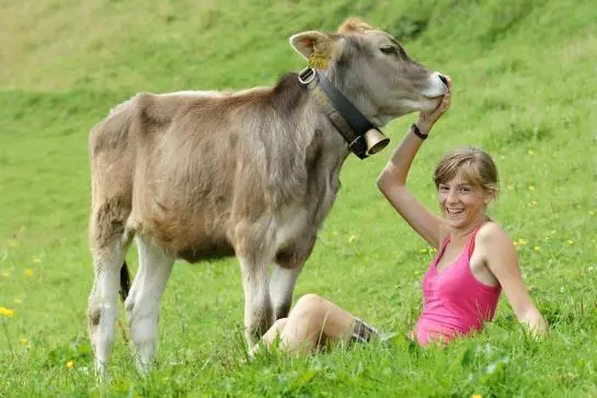 Christine Appartements