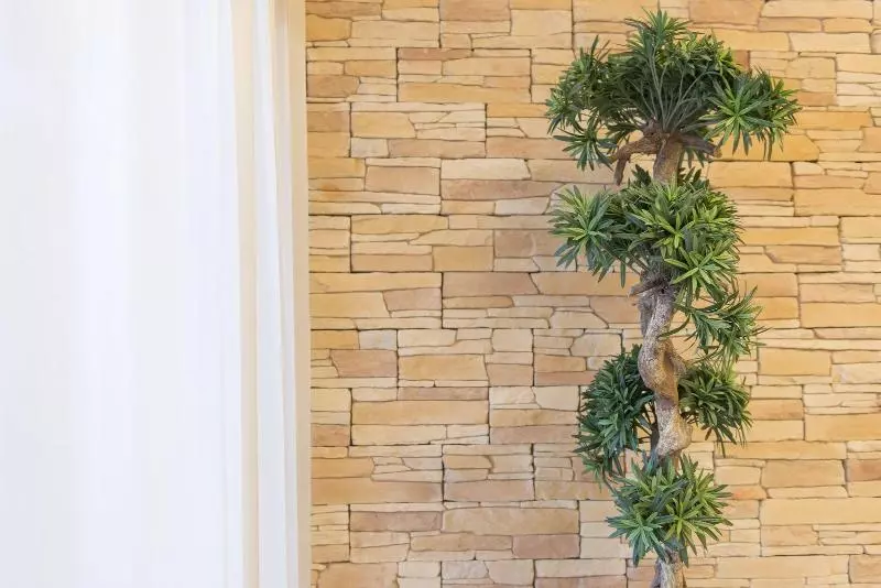 Отель Damülser Hof Wellness & Spa