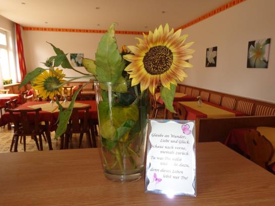 Bed and Breakfast Illmitzerhof Wohlfühlpension