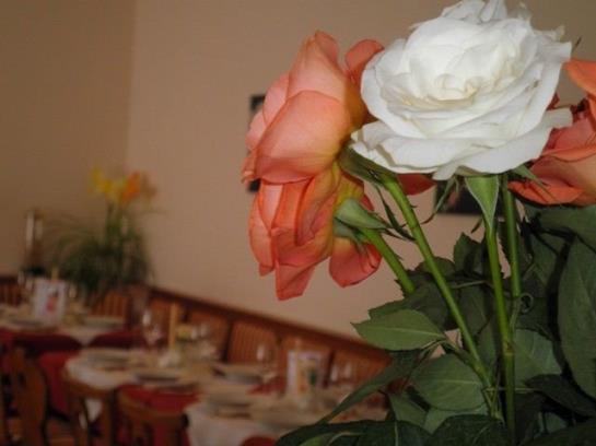 Bed and Breakfast Illmitzerhof Wohlfühlpension