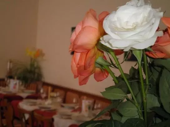 Bed and Breakfast Illmitzerhof Wohlfühlpension