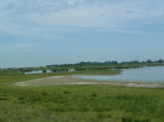 Bed and Breakfast Illmitzerhof Wohlfühlpension