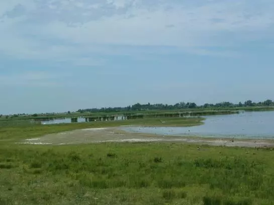 Bed and Breakfast Illmitzerhof Wohlfühlpension