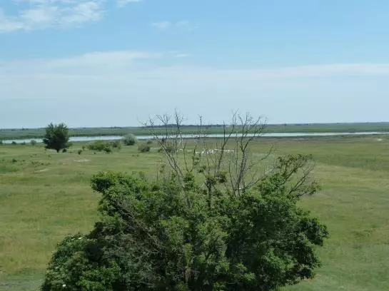 Bed and Breakfast Illmitzerhof Wohlfühlpension