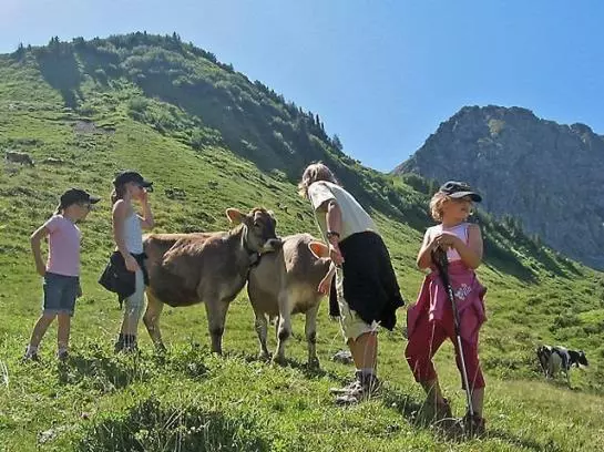 Hotelli Faschina