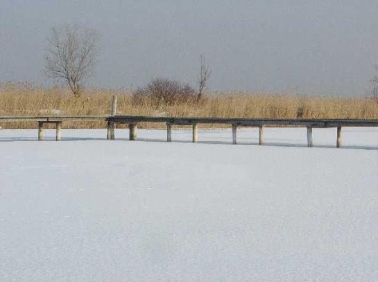 Пансион Gästehaus Fischbach