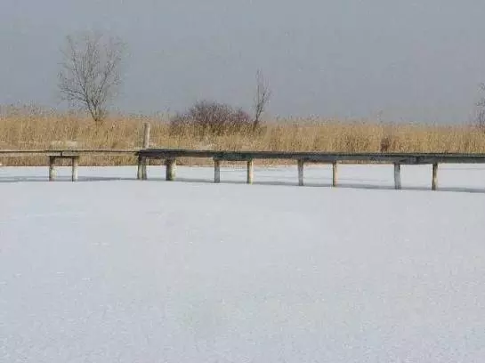 Пансион Gästehaus Fischbach