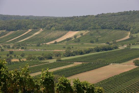 Пансион Gästehaus Fischbach