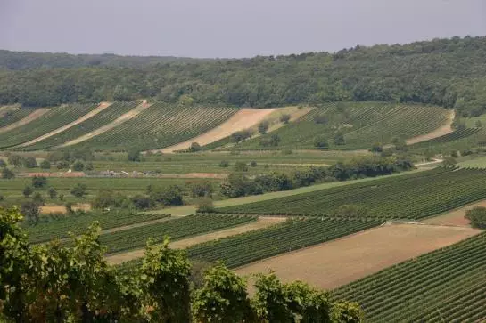 Пансион Gästehaus Fischbach