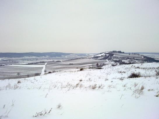 Пансион Gästehaus Fischbach