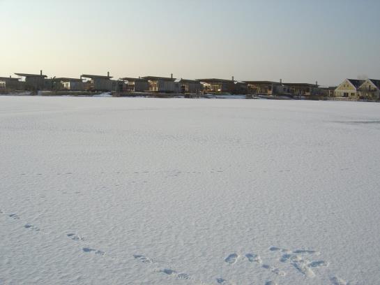 Пансион Gästehaus Fischbach