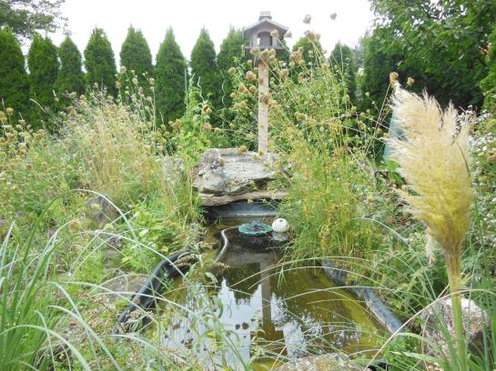 Пансион Gästehaus Fischbach