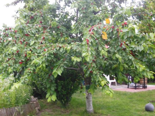 Пансион Gästehaus Fischbach