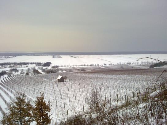 Пансион Gästehaus Fischbach