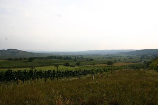 Пансион Gästehaus Fischbach