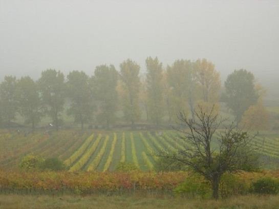Пансион Gästehaus Fischbach