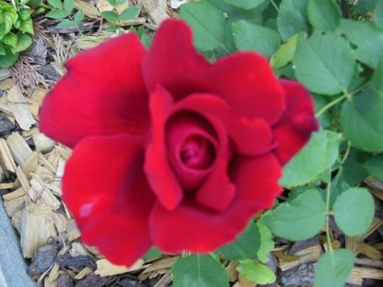 Пансион Gästehaus Fischbach