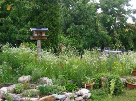 Пансион Gästehaus Fischbach