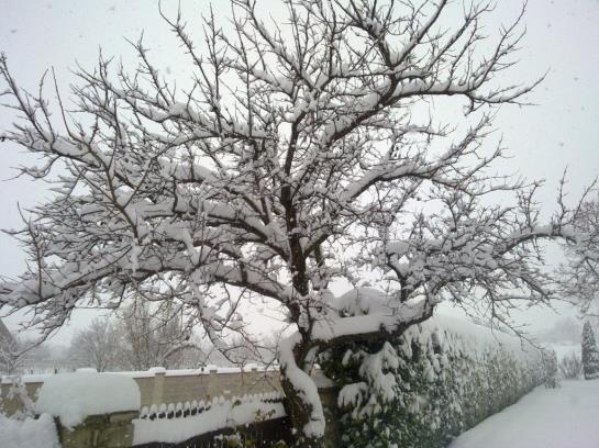 Пансион Gästehaus Fischbach