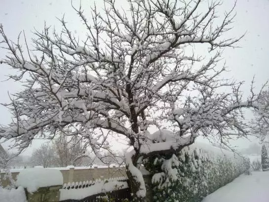 Пансион Gästehaus Fischbach