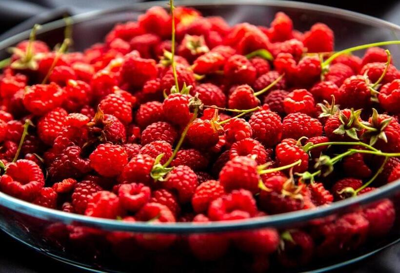 هتل Karlamuiza Country