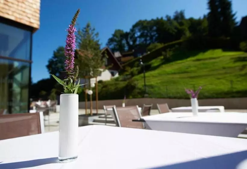 Sternen Hotel Wolfurt