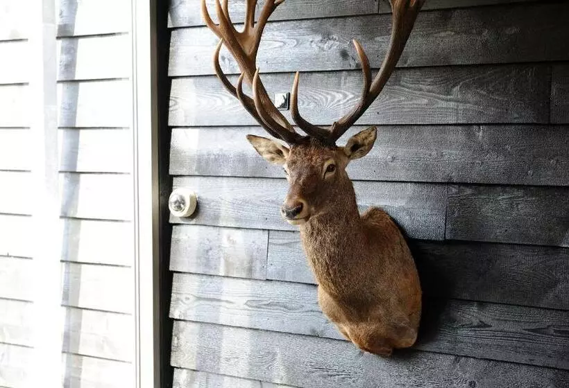 Star Lodge Hotels Utrecht