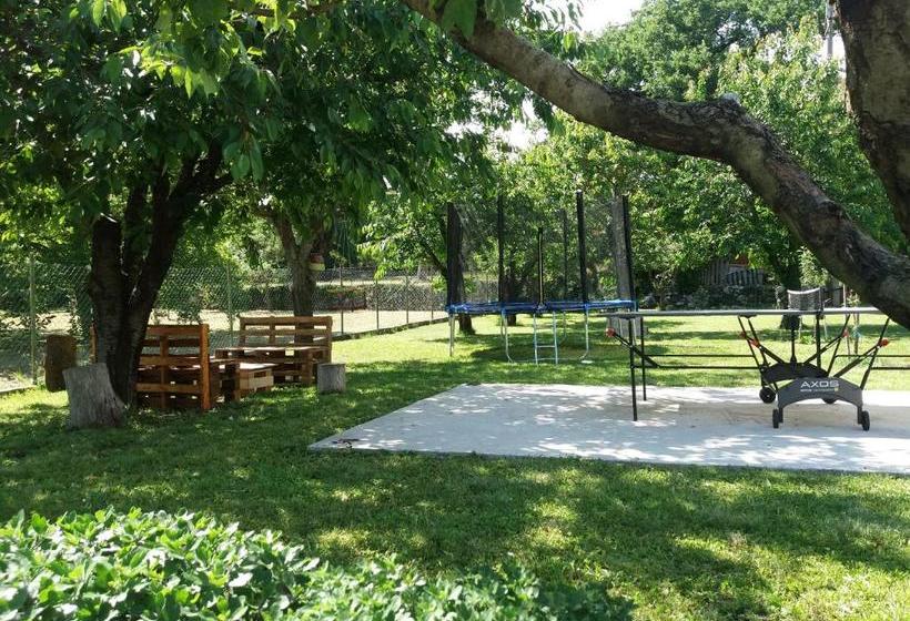 Studio Apartments Petkovic