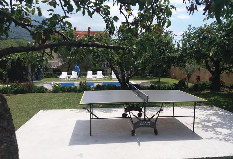 Studio Apartments Petkovic