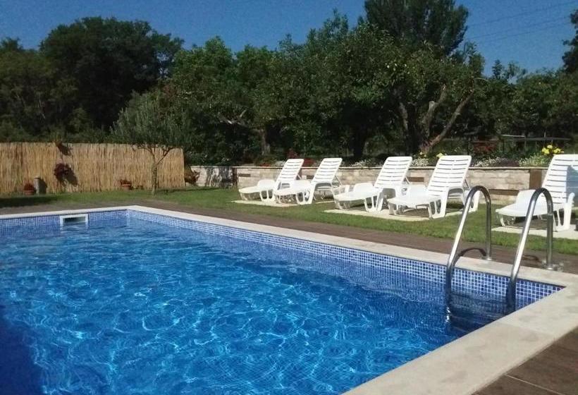 Studio Apartments Petkovic