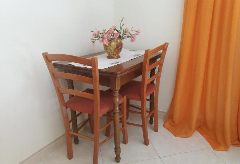 Studio Apartments Petkovic