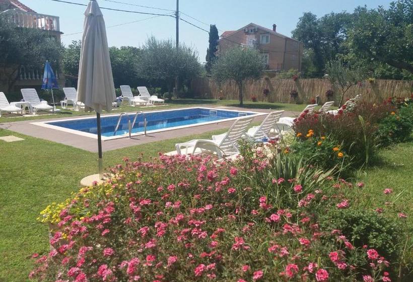 Studio Apartments Petkovic