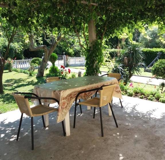 Studio Apartments Petkovic