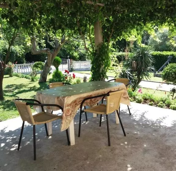 Studio Apartments Petkovic