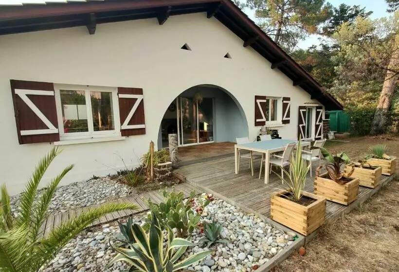 Maison Landaise à Proximité De La Plage Et Centre