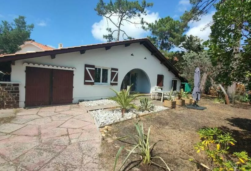 Maison Landaise à Proximité De La Plage Et Centre