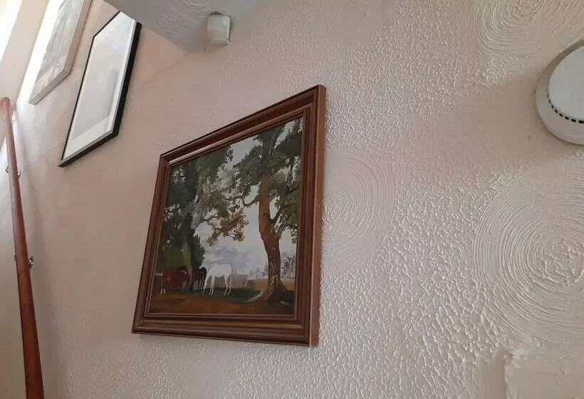 Immaculate 3 Bed House In Middlesbrough With Wifi