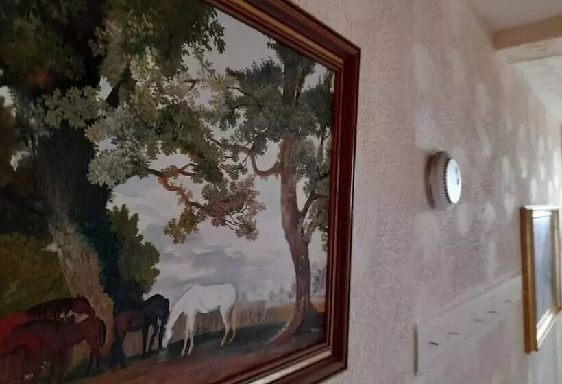 Immaculate 3 Bed House In Middlesbrough With Wifi