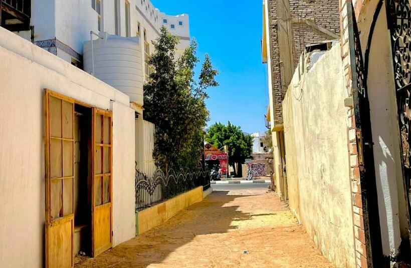 هوستيل الدايرة