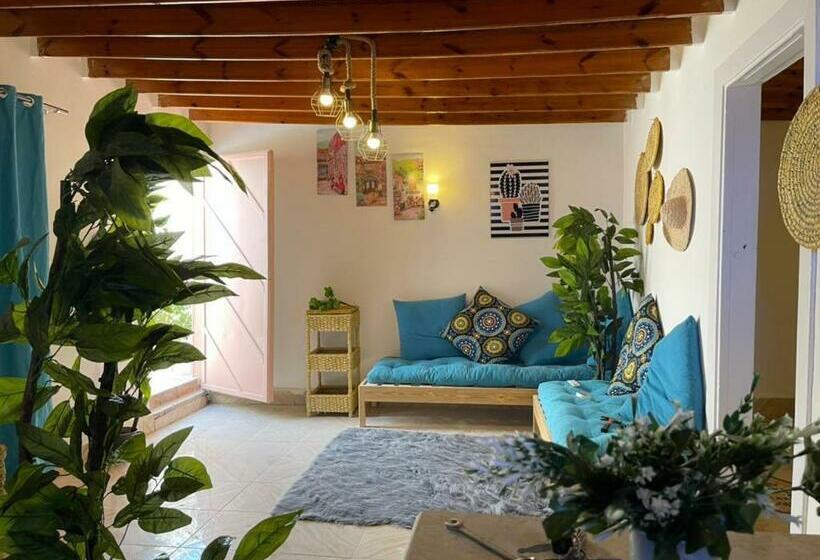 هوستيل الدايرة