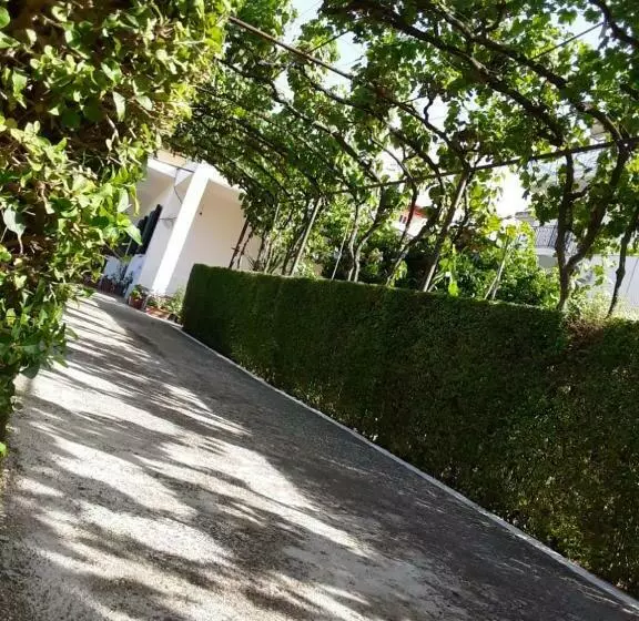 House 28