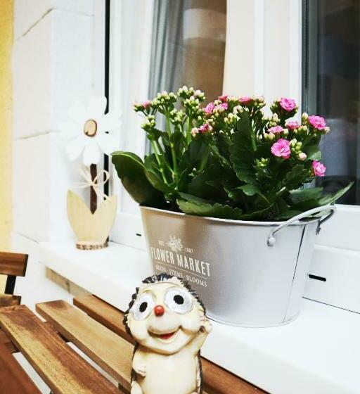 Your Lovely Home In The Heart Of Budapest