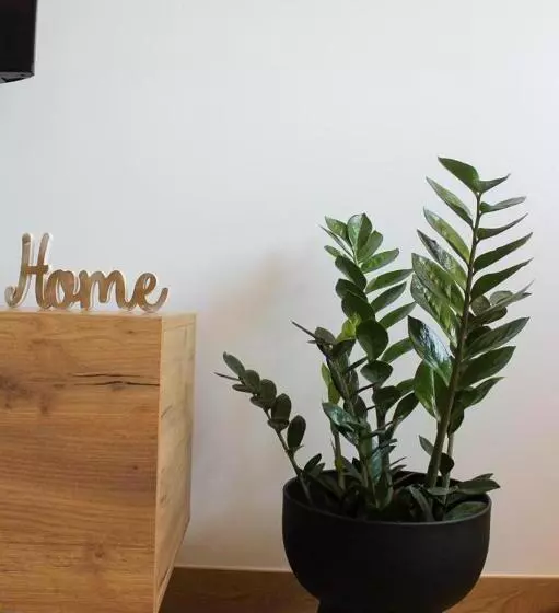 Apartman Im7 Međugorje